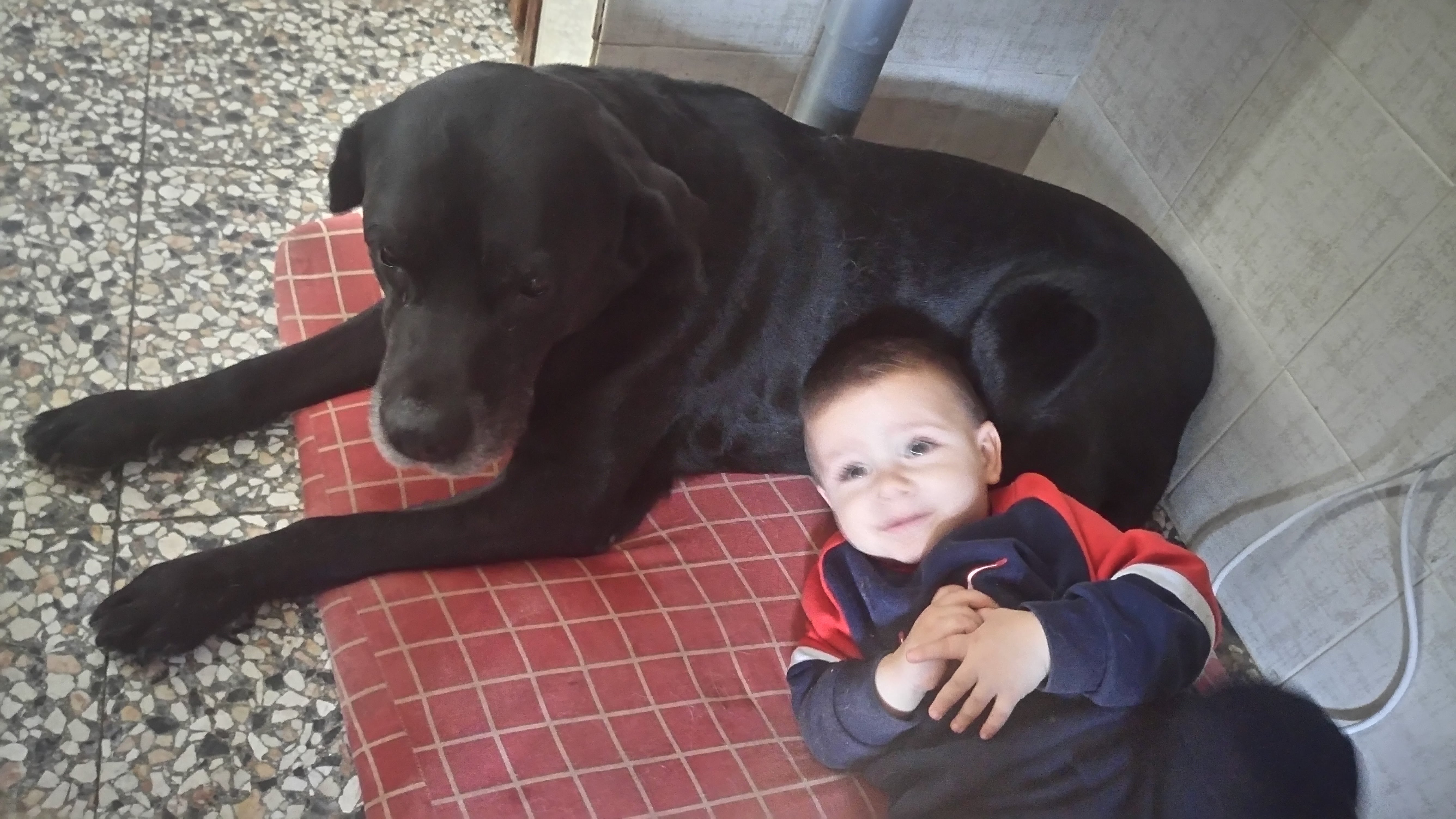 Max